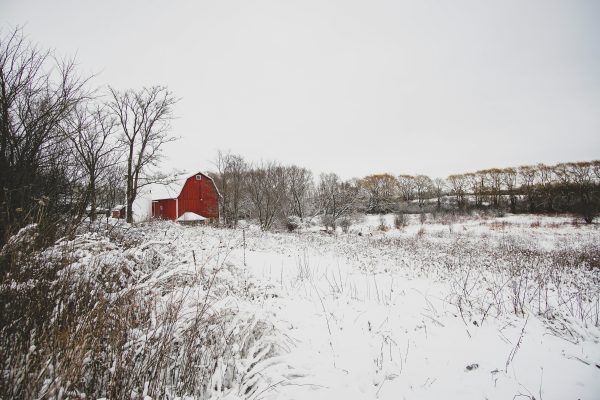 A Taste of Amish Country Sale