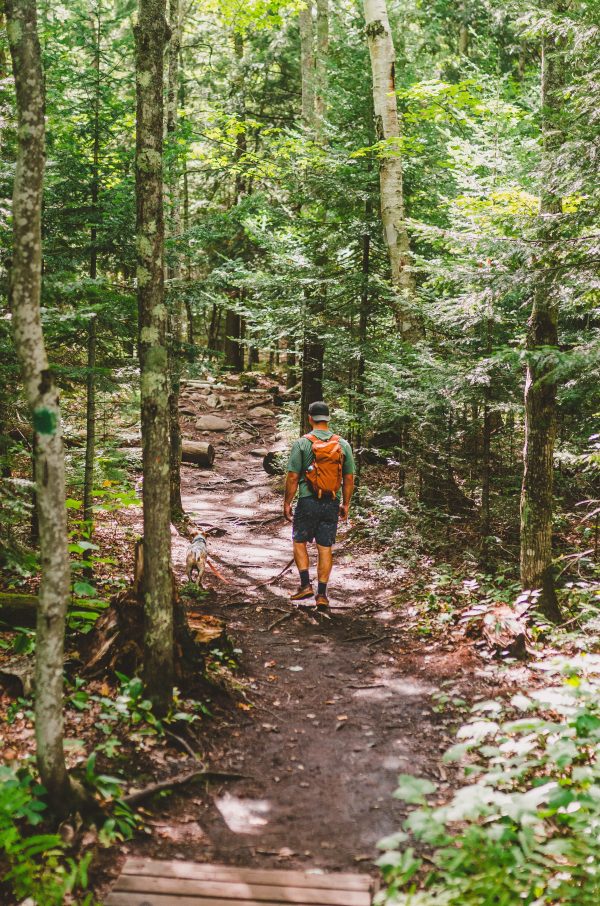 Muskoka Meandering Fashion