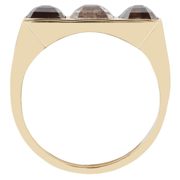 Desert Horizon Guardian Bar Ring For Sale