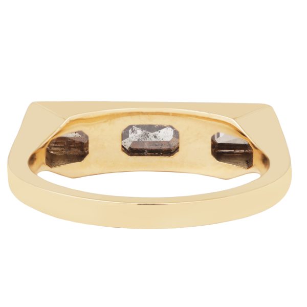 Flat Dunes Guardian Bar Ring Sale